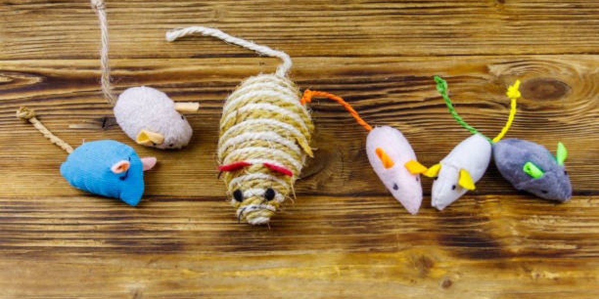 Where Curiosity Meets Care: A Thoughtful Guide to Choosing the Perfect Cat Toys from Mickey’s Pet Supplies