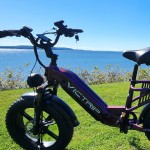 VICTRIP Ebike profile picture
