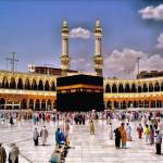 cheapumrah packages Profile Picture