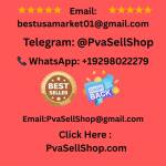 Hannah Middleton profile picture