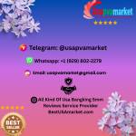 Moses Stout profile picture