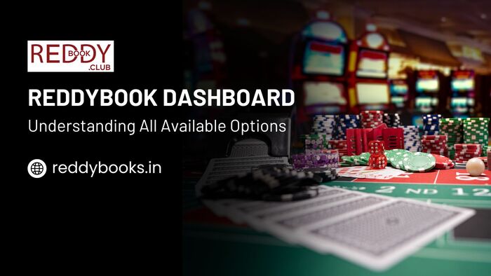 Reddybook Dashboard Overview: Understanding All Available Options |...