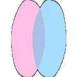 chatdansk profile picture