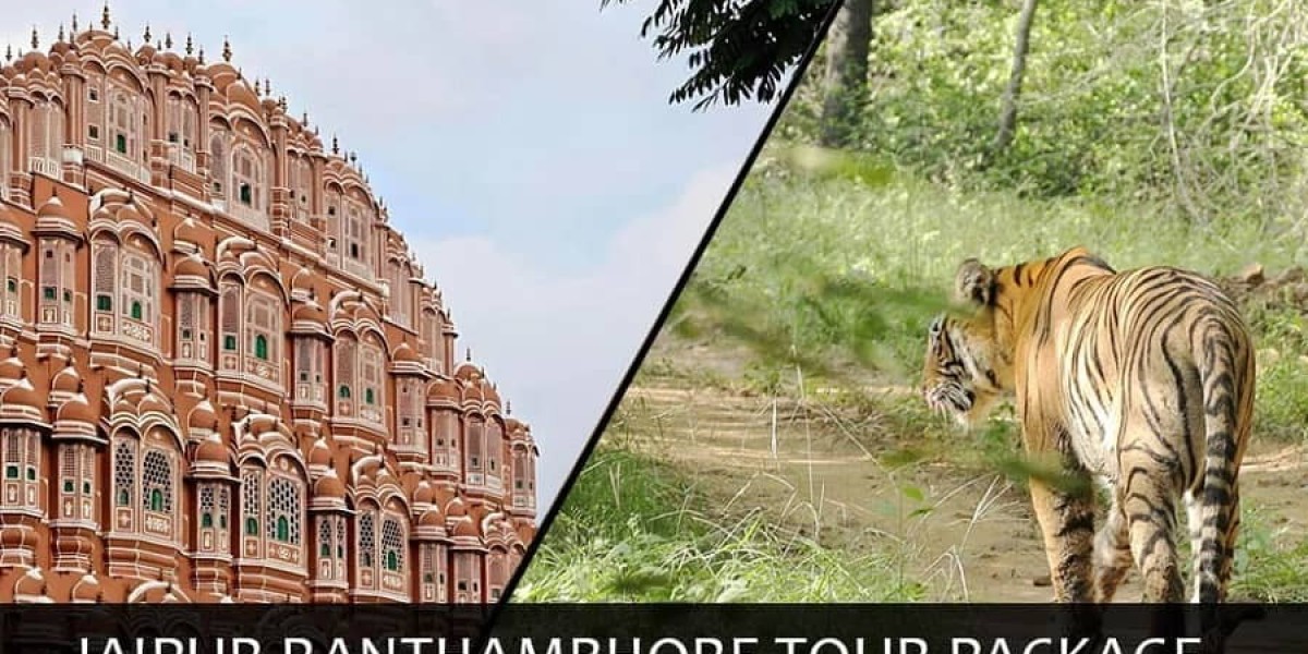 Why Jaipur Ranthambore Tour Is Best for Culture and Nature Lovers