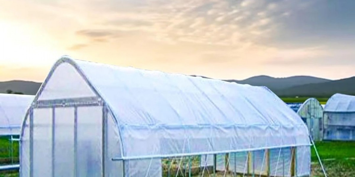 Greenhouse Film: The Cornerstone of Modern Protected Agriculture