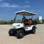 Golf Cart Zone Inc. of Austin Profile Picture