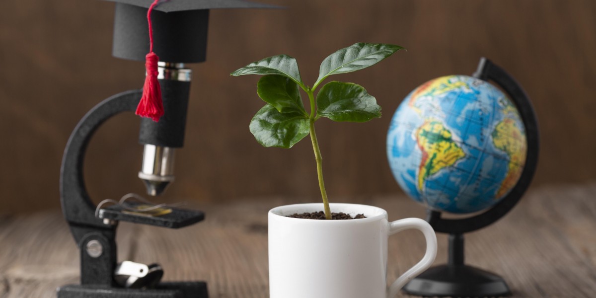 Can education survive today’s crisis and shape a better future