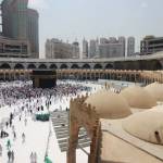 Umrah Packages from New York California Chicago Houston Profile Picture
