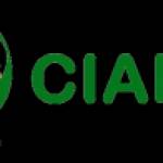 Cialis UAE Profile Picture