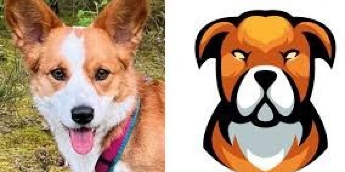 Looking for Professional Vector Art Services for Your Designs?