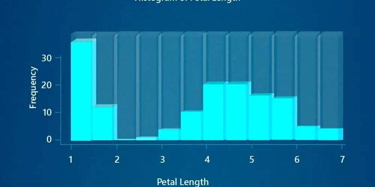 Data Visualization in Python Top Libraries, Tools & Techniques