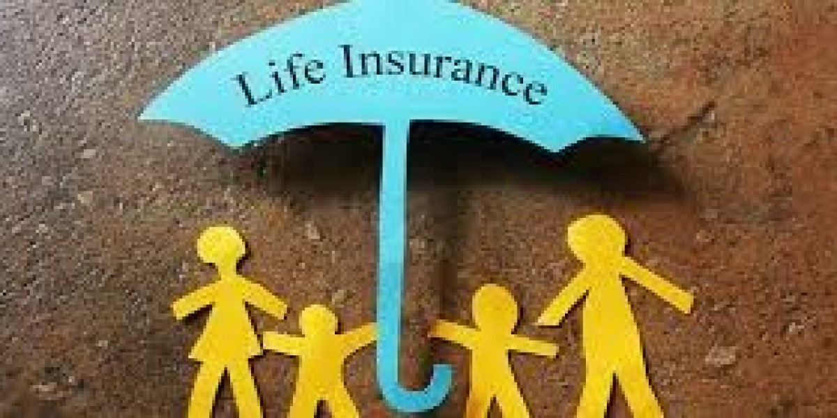 A Beginner’s Guide to the Insurance Premium Process