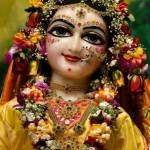 Radha Rani Kripa profile picture