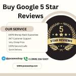 **** Google 5 Star Reviews Profile Picture