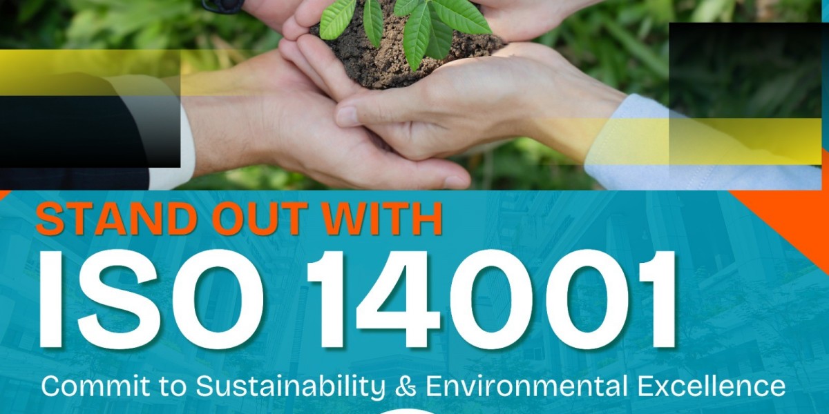 How Do ISO 14001 Consultants in Austin Help Organizations Achieve Compliance Efficiently?