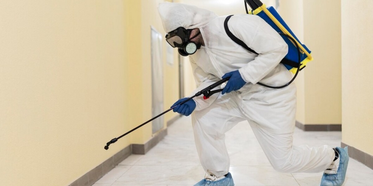 Why Regular Pest Control Is Essential for Gold Coast Homes