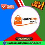 Smart SMMworld Profile Picture