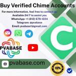 pvabase usa profile picture