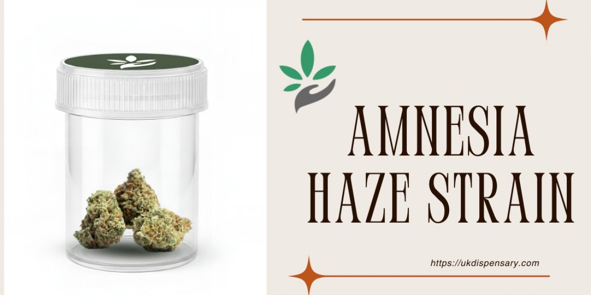 Buy Amnesia Haze Strain Now – Premium UK Dispensary