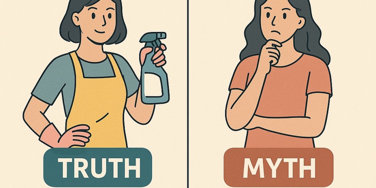 Home Hygiene & Pest Control: Truth vs. Myths for Modern Women