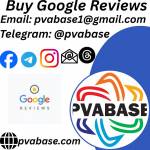 pvabase usa profile picture