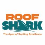 Roof Shark Profile Picture