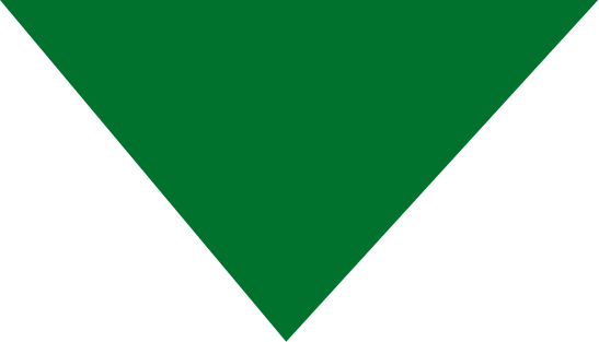 Investment Philosophy | Factor Investing | Daner Wealth Management