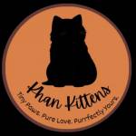 Khan kittens Profile Picture