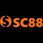 SC88 VN Profile Picture