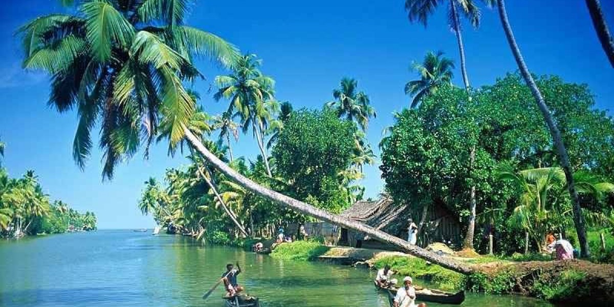Kerala Tour Packages Explained: Backwaters, Hills and Coastal Experiences