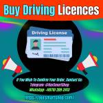 ****  Driving Licences Profile Picture