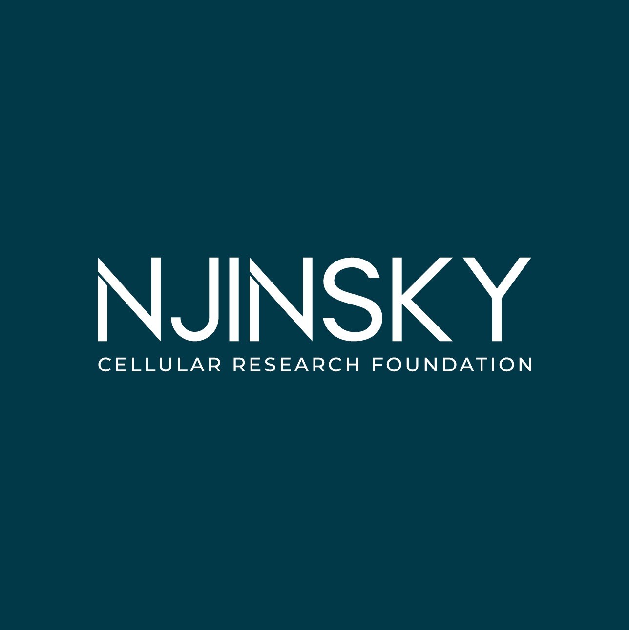 Njinsky Foundation Profile Picture