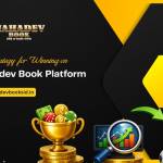 mahadev book Profile Picture