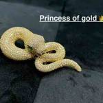 amira01 Profile Picture