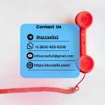 Karen Alees Profile Picture