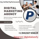 Github Account Profile Picture