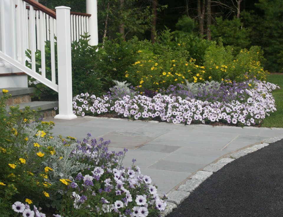 5 Common Lawn Problems Solved by Lawn Care Services South Shore Experts - Bcrelx