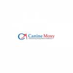 Canine Moxy profile picture