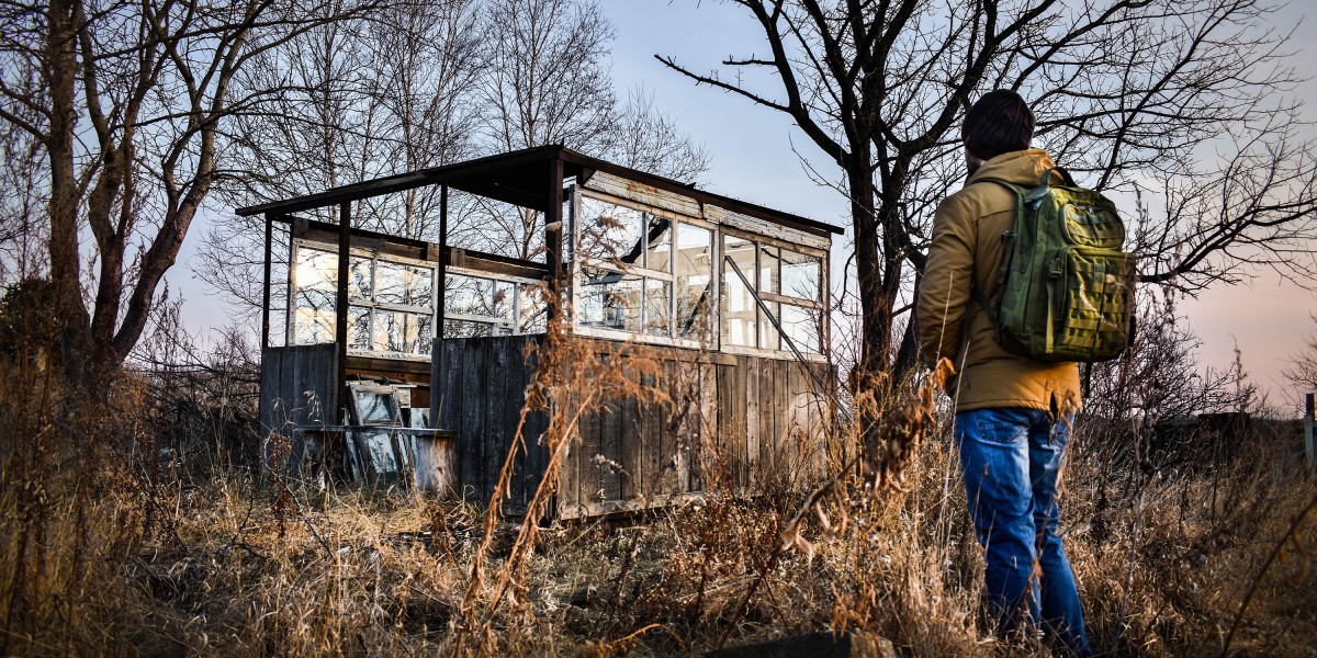 Architectural Exclusion: The Professional Standard for Wildlife Removal Services in the Toronto GTA