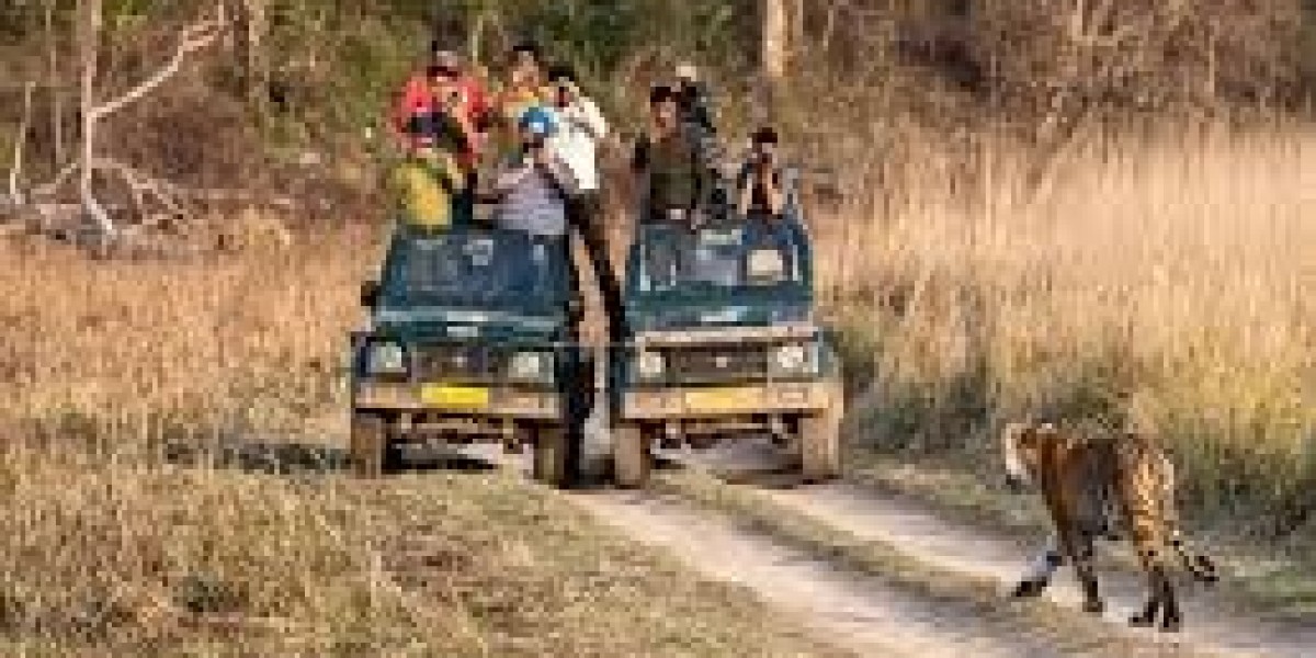 Moradabad to Jim Corbett taxi
