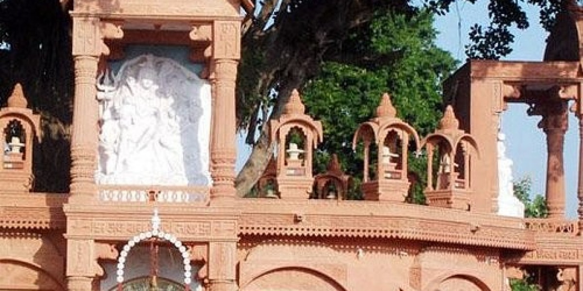 Article Picture