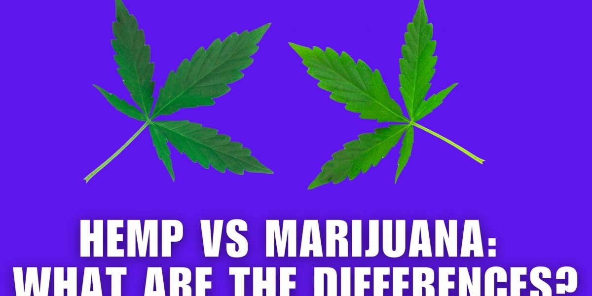 A Complete Guide to Ohio's Medical Marijuana Program