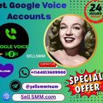 Professional Google Voice Setup & Support Services profile picture