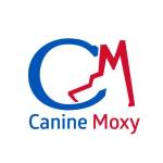 Canine Moxy Profile Picture