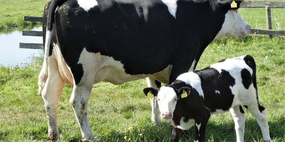 Dairy Industry Sustainability: How Technology Is Creating a Greener Future •
