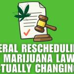 ohiomarijuana card Profile Picture