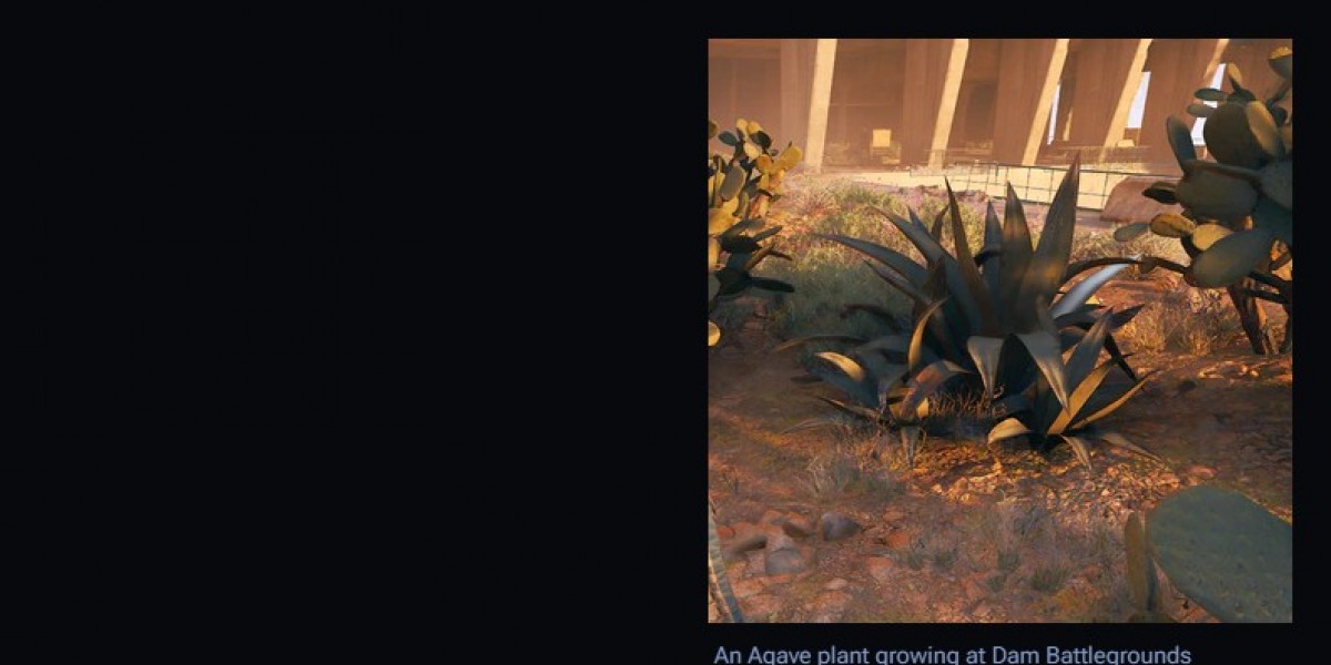 ARC Raiders Agave: Should You Keep It or Sell It?