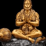 Hanuman Statue Profile Picture