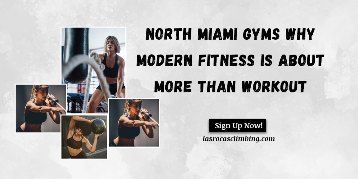 North Miami Gyms Why Modern Fitness Is About More Than Workout