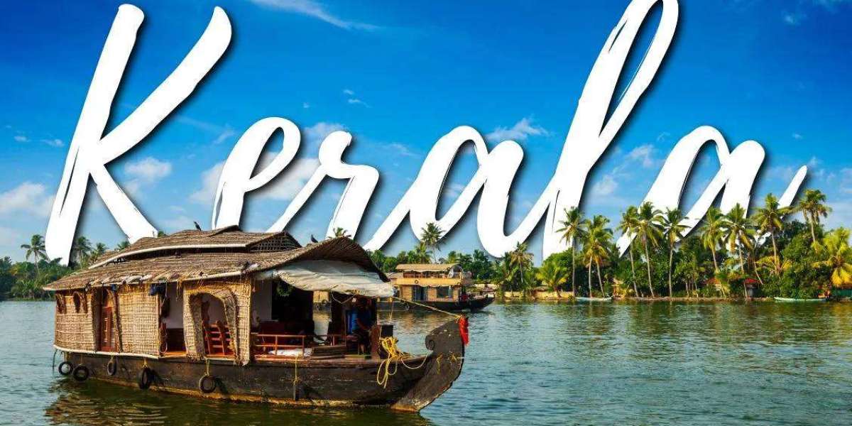 Discover Kerala: A Perfect South India Escape from Delhi